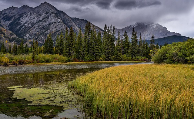 Discover Canada's National Parks – must-visit parks and activities