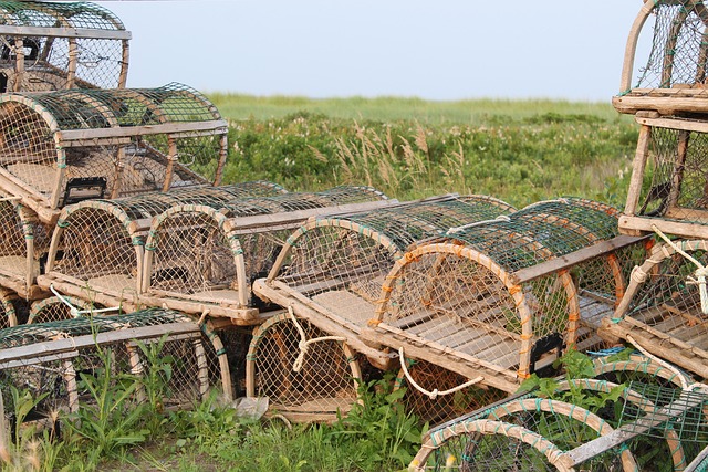 New Brunswick Acadian heritage and coastal scenery